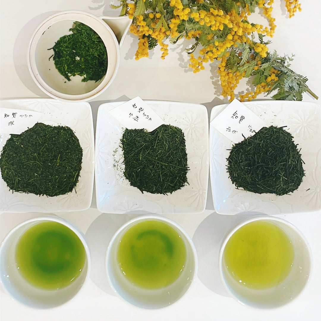 鹿児島知覧 ゆたかみどり – AOBA TEA DEALER AND RETAILER