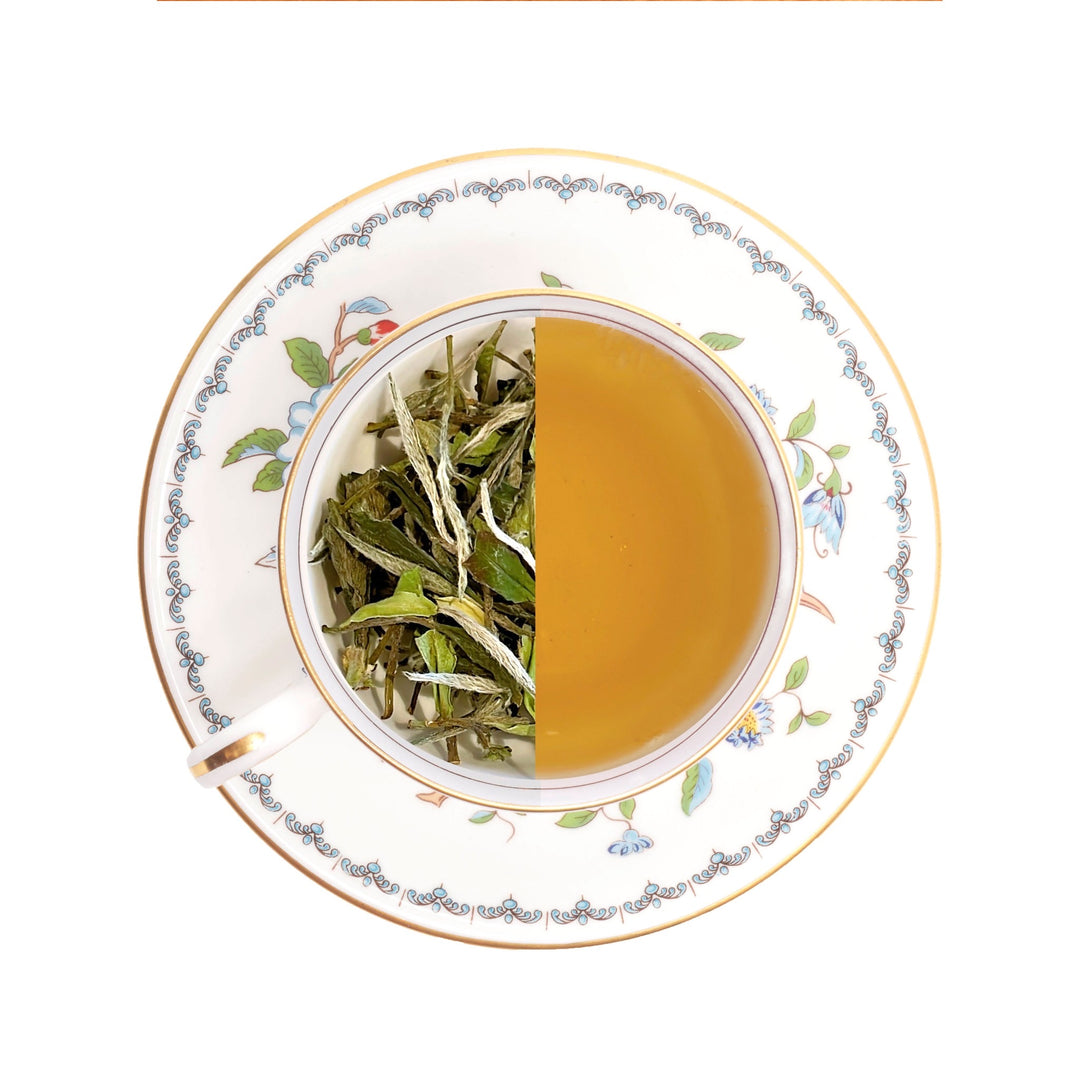 白茶 / White Tea – AOBA TEA DEALER AND RETAILER